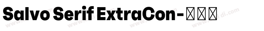 Salvo Serif ExtraCon字体转换